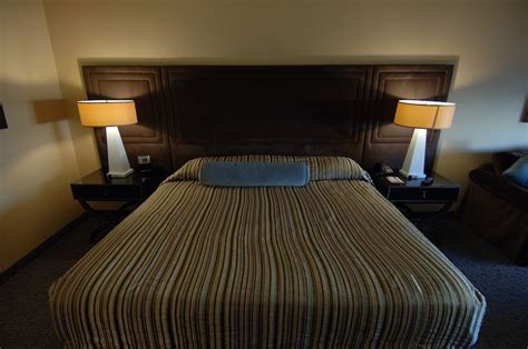 What to Know About Bed Bugs in Las Vegas Hotel Rooms