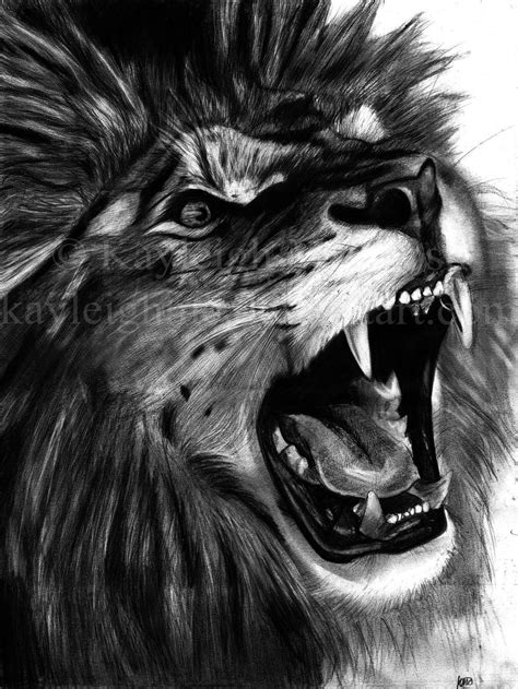 kayleighmc | Lion drawing, Lion sketch, Angry lion drawing