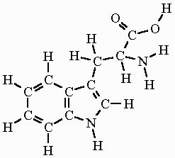 Tryptophan Formula & Structure