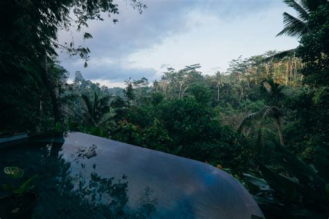 Free photo: Rain Forest Landscape - Clouds, Forest, Jungle - Free ...