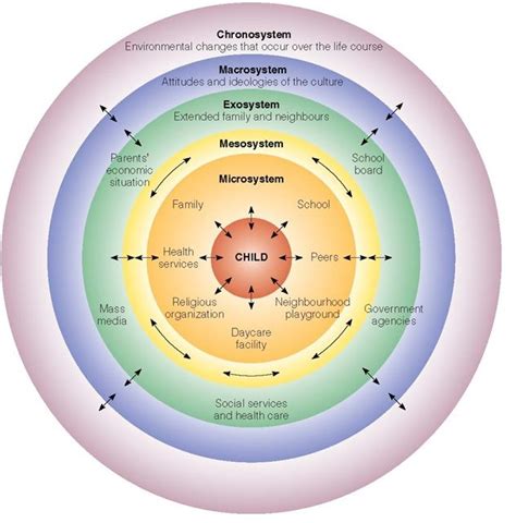 2. Bronfenbrenner's model of social ecology is a visual representation ...