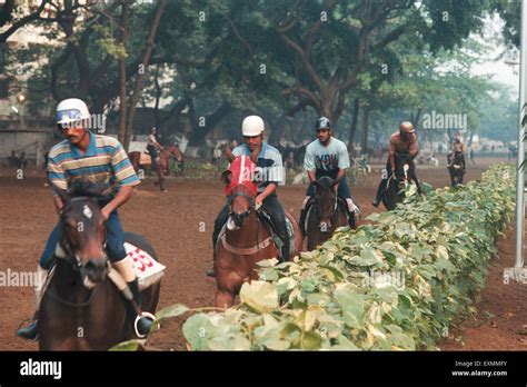 Jockey riding horses, Mahalaxmi Race Course, Mahalakshmi, Bombay, Mumbai, Maharashtra, India ...