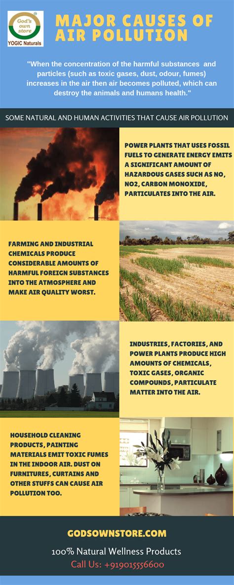 Causes of Air Pollutions [INFOGRAPHIC]