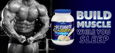 casein-protein-powder • Bodybuilding Wizard