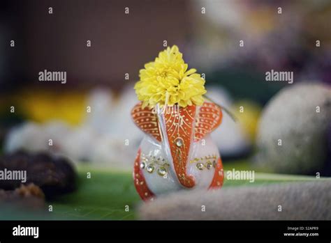 Ganesh Chaturthi celebration Stock Photo - Alamy