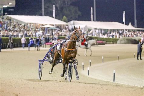 Harness Racing News Today | Harness Racing Australia - Harnesslink