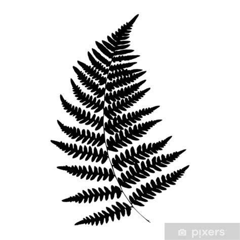 New Zealand Fern Vector at Vectorified.com | Collection of New Zealand Fern Vector free for ...