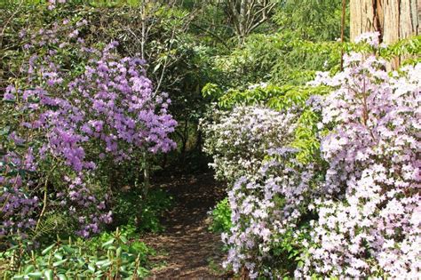 UBC Botanical Garden and Greenheart TreeWalk, Vancouver, B.C ...