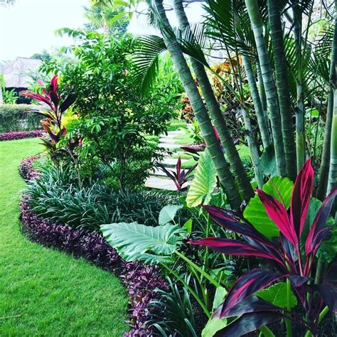 Tropical Landscaping - Garden Plantation