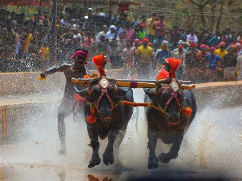 Festivals of Karnataka You Must Experience to Understand Its Culture