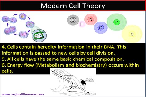 Difference between Cell Theory and Modern Cell Theory