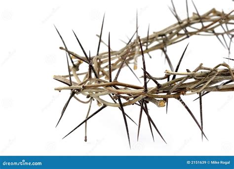 Crown Of Thorns - Easter Royalty Free Stock Images - Image: 2151639