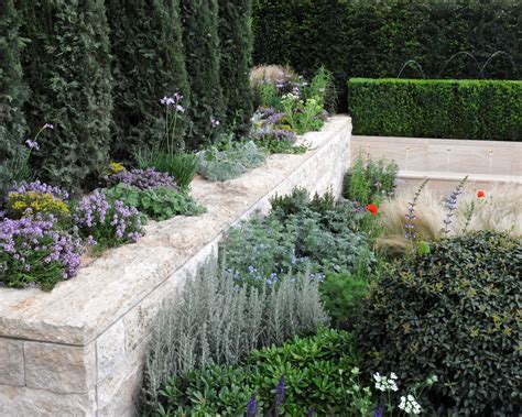 How to plan a dry garden: Ideas for landscaping and plants | Homes ...