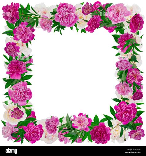 Real flower frame hi-res stock photography and images - Alamy