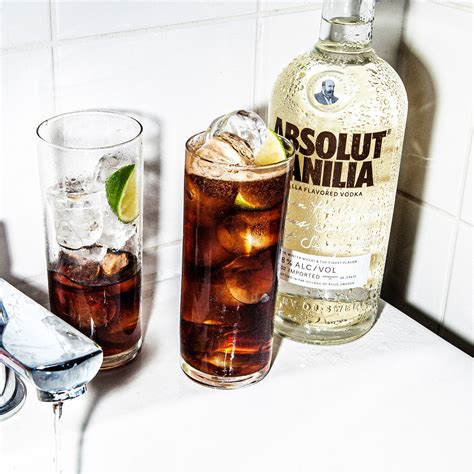 Absolut Vodka Vanilla Recipes | Dandk Organizer