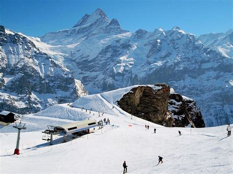 Ski resort Grindelwald - Photos - TopSkiResort.com