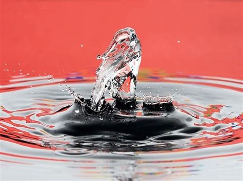 Water Drop Art - Gallery | eBaum's World