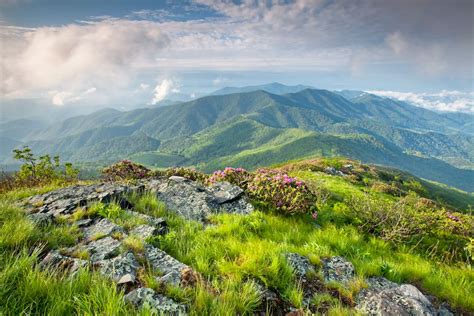 Pisgah National Forest