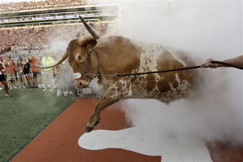 Holy Bevo Smoke - Barking Carnival