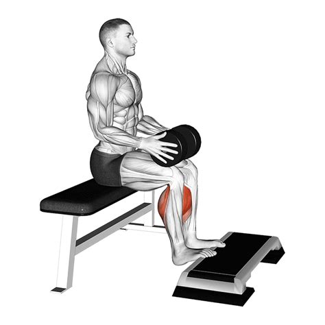 Seated Calf Raises: Benefits, Muscles Worked, and More - Inspire US