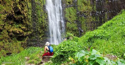 Maui Guided Hiking Tours | Jungle Waterfall Hike & Tickets for Hiking Tours