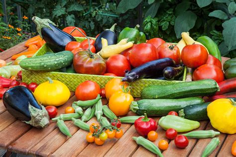 🔥 [50+] Vegetable Gardening Wallpapers | WallpaperSafari