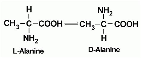 AMINO ACID SUPPLEMENT ARTICLE SERIES Part One: Basic Science of amino ...