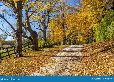 Country lane in autumn stock photo. Image of hike, wood - 72515024