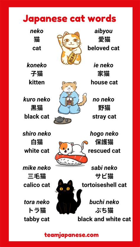 How to Say Cat in Japanese (+ More Cute Japanese Cat Words!) - Team Japanese