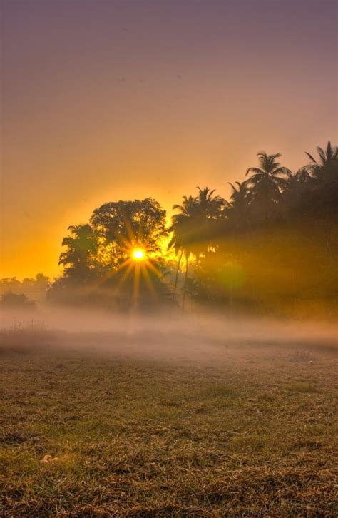 Sunrise at Padoor Village, Udupi, India[OC][3369x5165] : r/EarthPorn