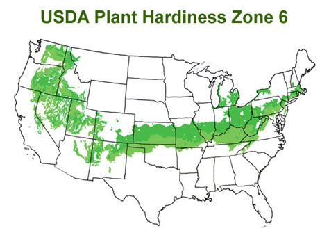 My Planting Schedule Zone 6b — Fox Run Environmental Education Center