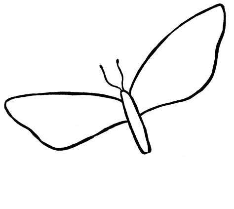 Butterfly Drawing {6 Easy Steps}! - The Graphics Fairy