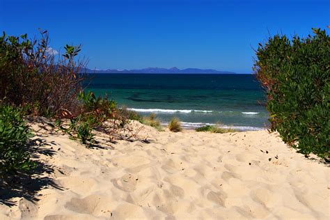 Good Food and Glorious Beaches in Tasmania - ramblingtart