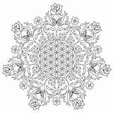 Flower Coloring Pages For Adults  Best Kids sketch template
