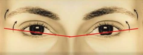 Does Your Canthal Tilt Affect Your Face Attractiveness?