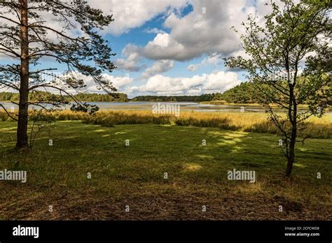 Wide view of the archipelago landscape framed by trees hi-res stock photography and images - Alamy