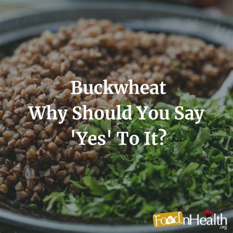 Buckwheat – Why Should You Say 'Yes' To It? - Food N Health