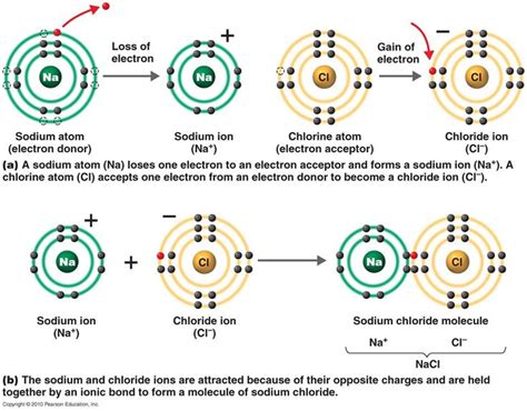 Chemical Principles | Chemistry lessons, Biochemistry notes, Chemistry education