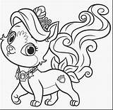 Whisker Haven Coloring Pages Free Download  Puppy coloring Dog sketch template