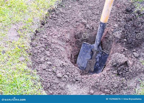 Shovel, Digging Holes in Ground, Working in Garden Stock Photo - Image of ground, gardener ...