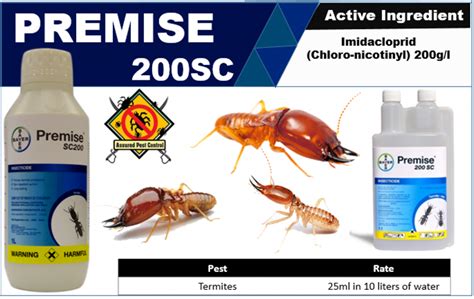 Termites Control – Assured Pest Control