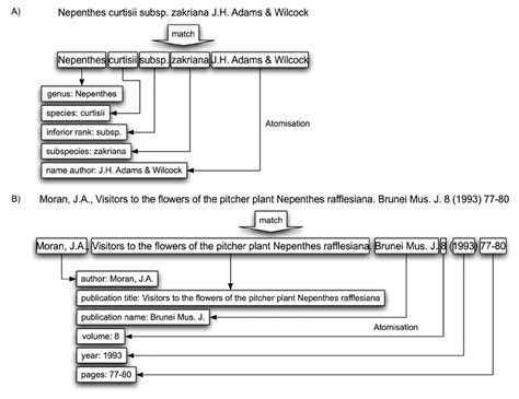 Examples of using alphanumeric characters in combination with white... | Download Scientific Diagram