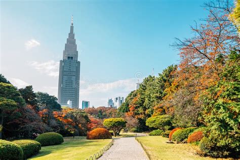 Shinjuku Gyoen Park at Autumn in Tokyo, Japan Stock Photo - Image of colorful, city: 133336284