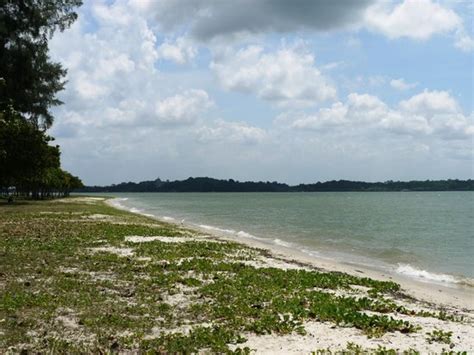 Changi Beach (Singapore) - 2020 All You Need to Know Before You Go ...