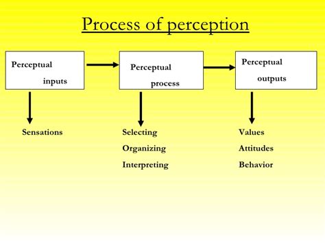 Perception and Perceptual Process ~ Professional Shiksha