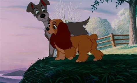 10 Things You Didn't Know About Lady and the Tramp | Disney movie characters, Lady, the tramp ...