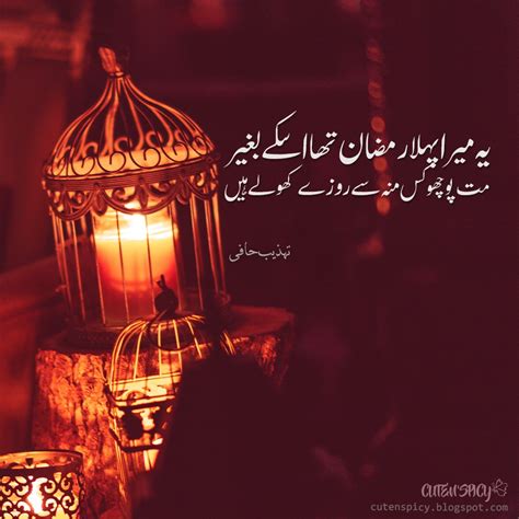 Top 13 Tehzeeb Hafi Poetry Status with Images | Poetry, Love poetry ...