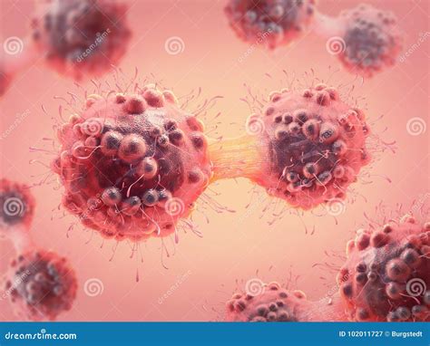 Cancer Cell in the Process of Mitosis Stock Illustration - Illustration of mitosis, immunity ...