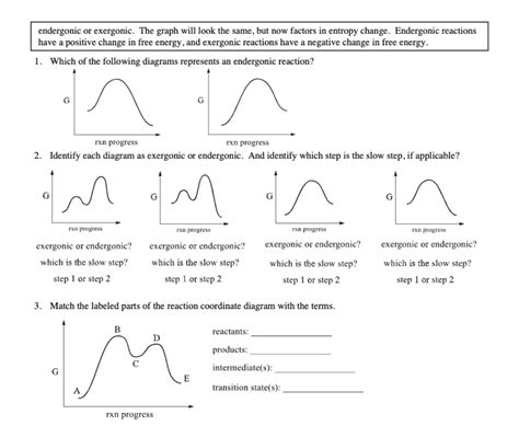 Exergonic And Endergonic Reactions