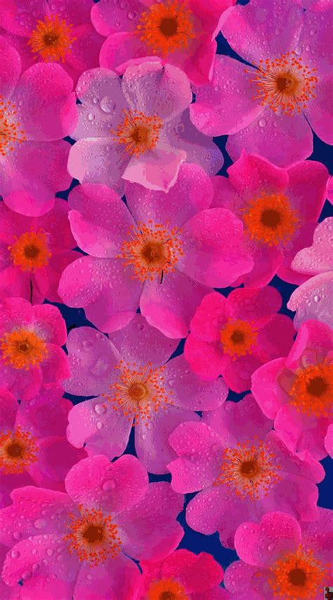 pureblindingcolour: Photo | Wallpaper nature flowers, Floral wallpaper, Flower backgrounds